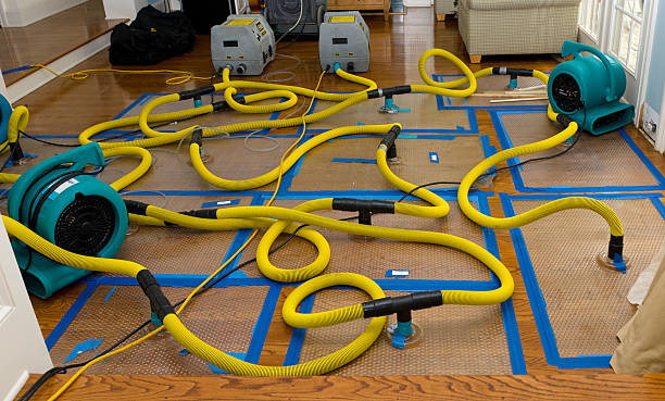 Professional Crawl Space Water Removal technician working in Cosmos, MN